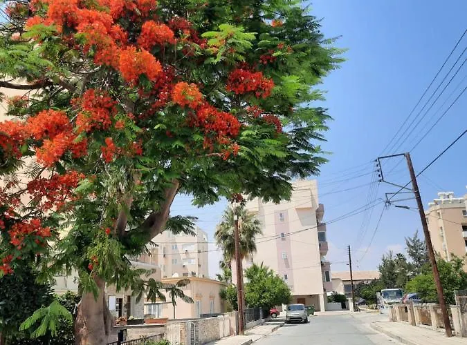 Large Apt 2 Bedrooms Sea View & 2 Balconies Larnaca